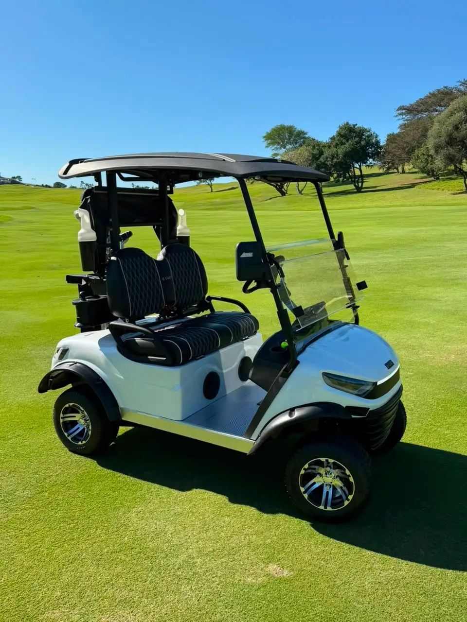 G-CART A2 two-seater on the fairway